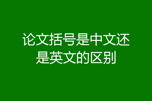 论文括号是中文还是英文的区别