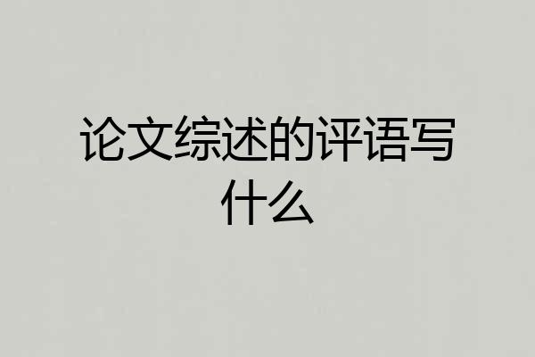 论文综述的评语写什么