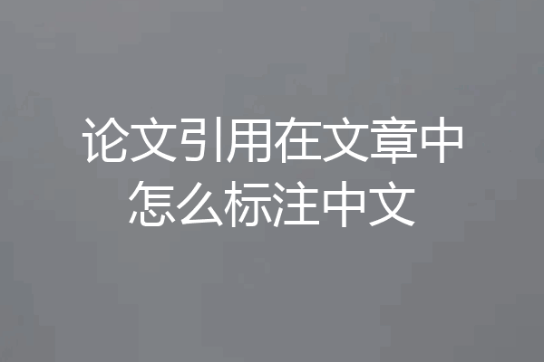 论文引用在文章中怎么标注中文