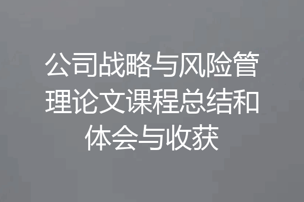 公司战略与风险管理论文课程总结和体会与收获