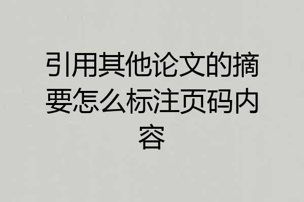 引用其他论文的摘要怎么标注页码内容