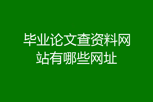 毕业论文查资料网站有哪些网址