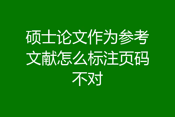 硕士论文作为参考文献怎么标注页码不对