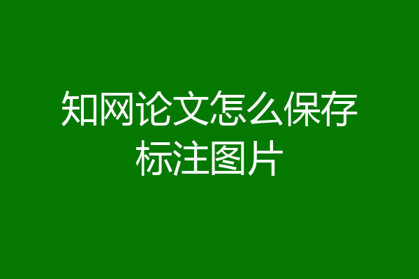 知网论文怎么保存标注图片