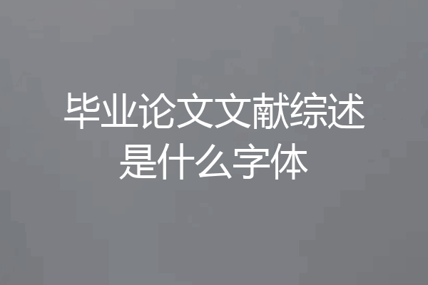 毕业论文文献综述是什么字体