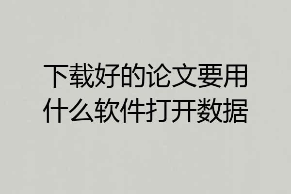 下载好的论文要用什么软件打开数据