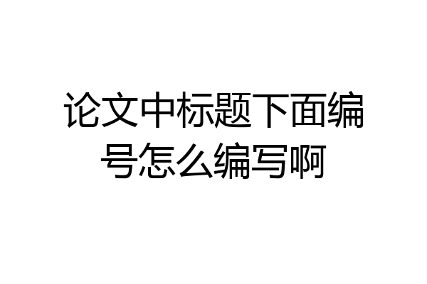 论文中标题下面编号怎么编写啊