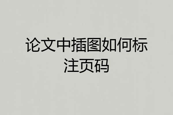 论文中插图如何标注页码