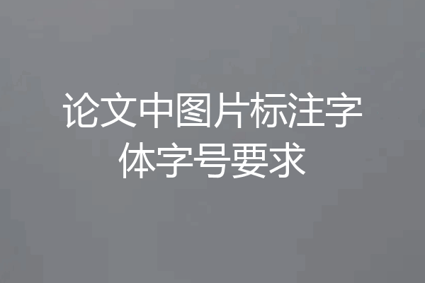 论文中图片标注字体字号要求