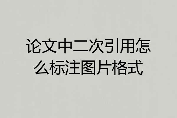 论文中二次引用怎么标注图片格式