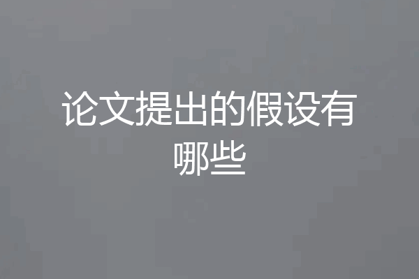 论文提出的假设有哪些