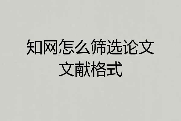 知网怎么筛选论文文献格式