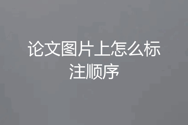 论文图片上怎么标注顺序