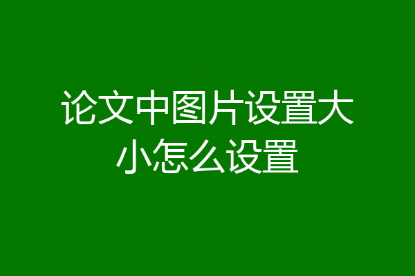 论文中图片设置大小怎么设置