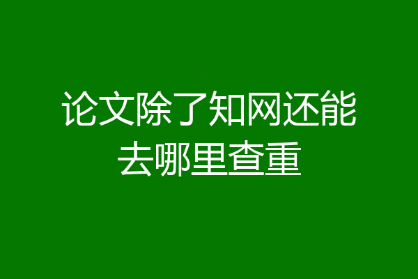论文除了知网还能去哪里查重