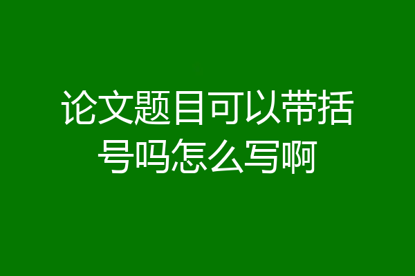 论文题目可以带括号吗怎么写啊