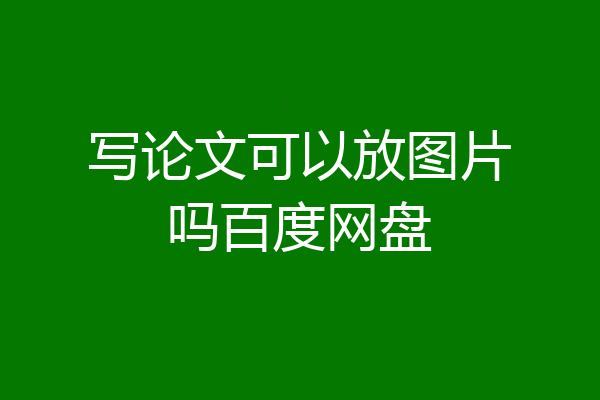 写论文可以放图片吗百度网盘