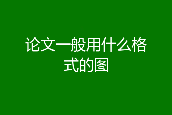 论文一般用什么格式的图