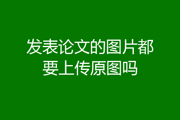 发表论文的图片都要上传原图吗