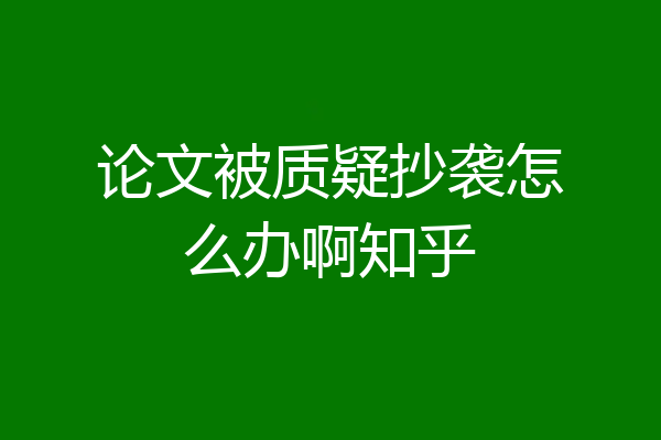 论文被质疑抄袭怎么办啊知乎