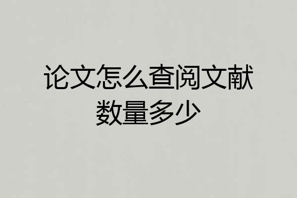 论文怎么查阅文献数量多少