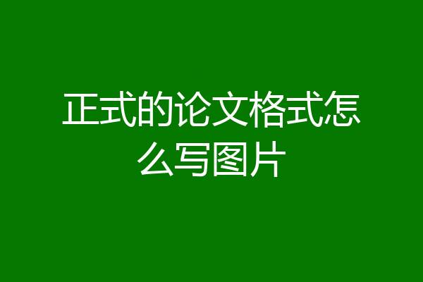 正式的论文格式怎么写图片