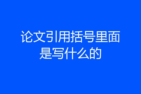 论文引用括号里面是写什么的