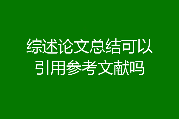 综述论文总结可以引用参考文献吗