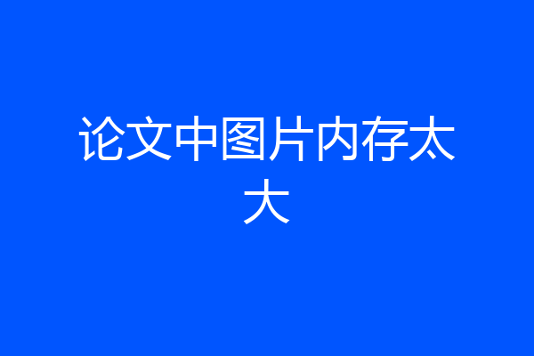 论文中图片内存太大