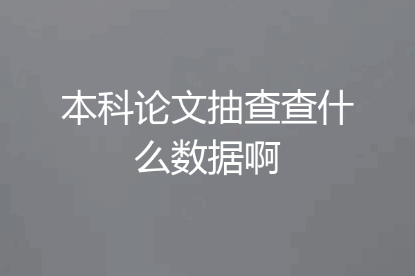 本科论文抽查查什么数据啊