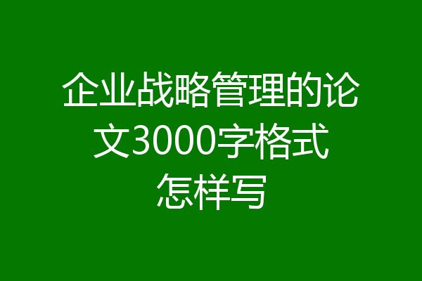 企业战略管理的论文3000字格式怎样写