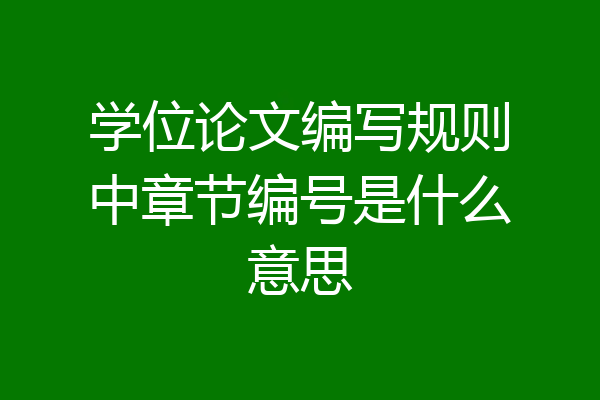 学位论文编写规则中章节编号是什么意思