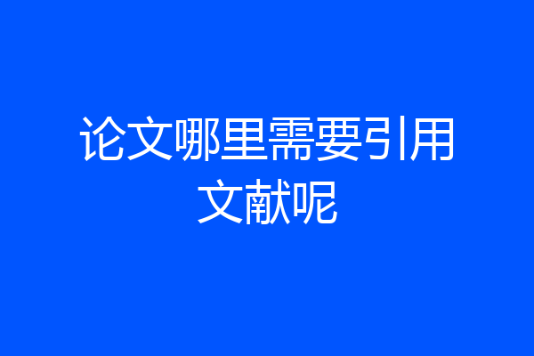 论文哪里需要引用文献呢