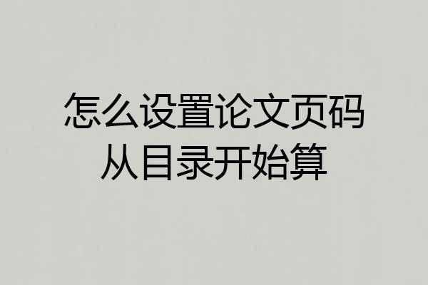 怎么设置论文页码从目录开始算