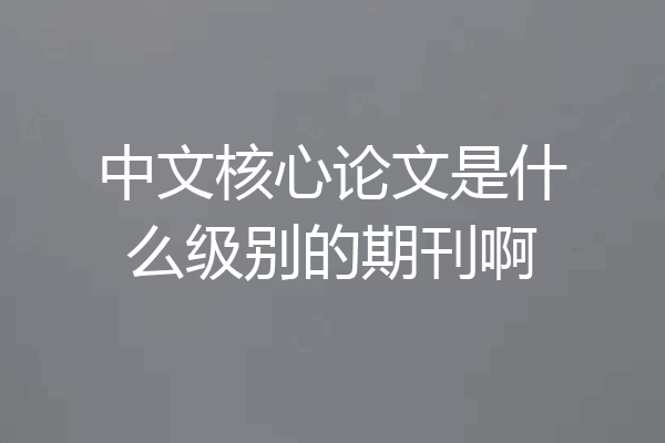 中文核心论文是什么级别的期刊啊
