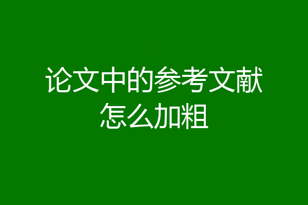 论文中的参考文献怎么加粗