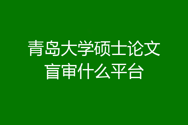 青岛大学硕士论文盲审什么平台