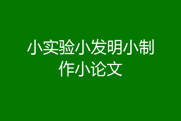 小实验小发明小制作小论文