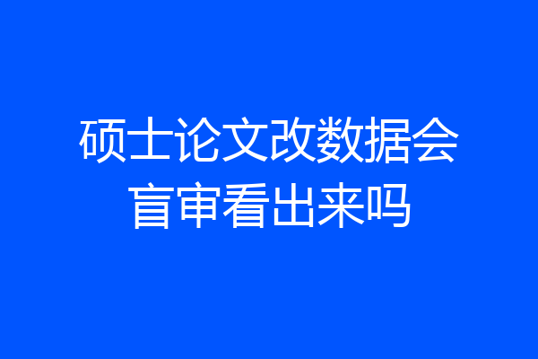 硕士论文改数据会盲审看出来吗