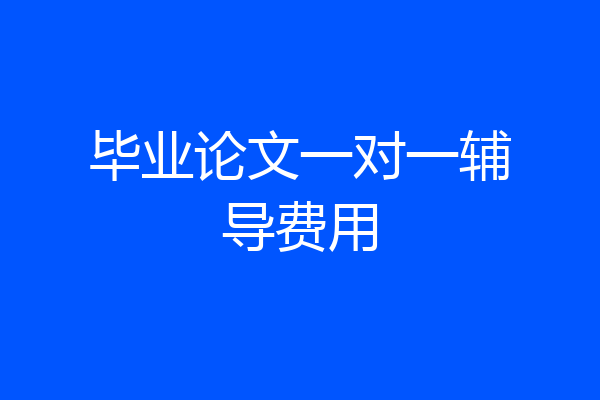 毕业论文一对一辅导费用