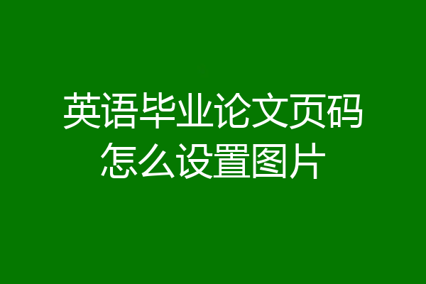 英语毕业论文页码怎么设置图片