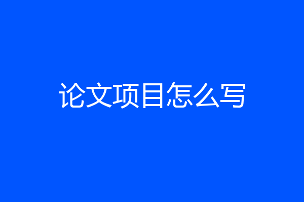 论文项目怎么写