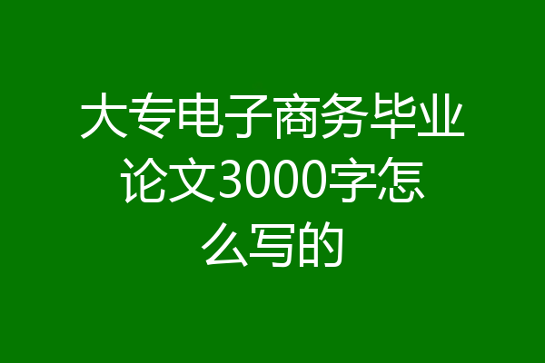 大专电子商务毕业论文3000字怎么写的