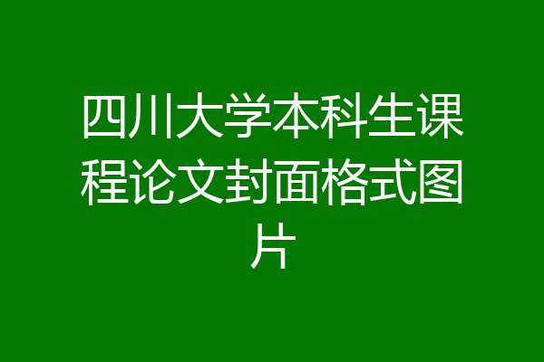 四川大学本科生课程论文封面格式图片