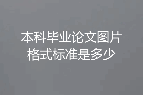 本科毕业论文图片格式标准是多少