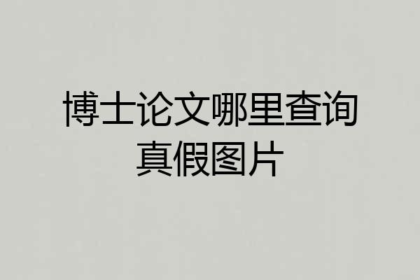 博士论文哪里查询真假图片