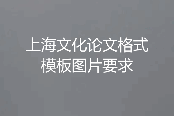 上海文化论文格式模板图片要求