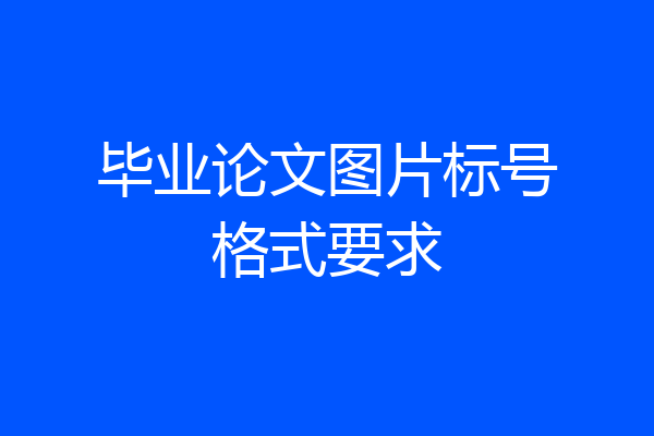 毕业论文图片标号格式要求
