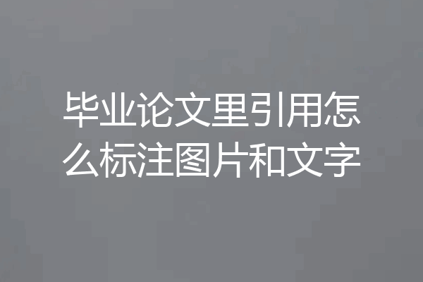 毕业论文里引用怎么标注图片和文字