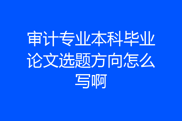 审计专业本科毕业论文选题方向怎么写啊